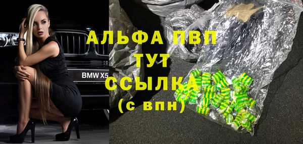 твердый Богданович