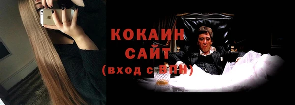 твердый Богданович