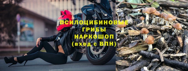 герыч Бронницы