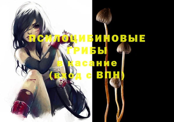 герыч Бронницы