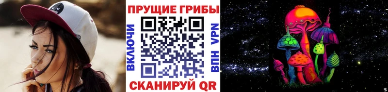 Псилоцибиновые грибы Psilocybe  Армавир 