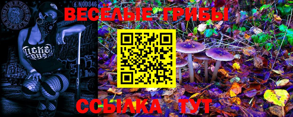 Армавир  Псилоцибиновые грибы MAGIC MUSHROOMS  Вход с VPN  Псилоцибиновые грибы Psilocybe 